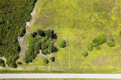 /international/us/313-ingram-boulevard-rotonda-west-fl-110120137565/