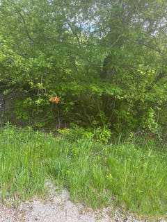 /international/us/unionville-road-lot-5-steuben-me-110108537073/
