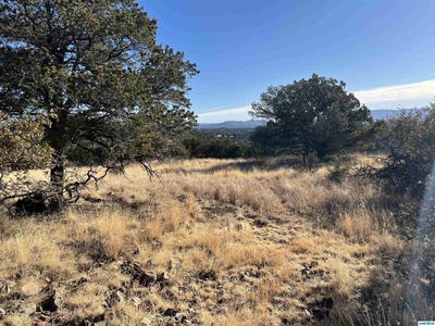/international/us/62-nizhoni-loop-silver-city-nm-110097117731/?lang=zh-tw
