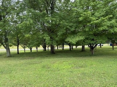 /international/us/1111-browning-acres-road-lot-9-corbin-ky-110108269756/