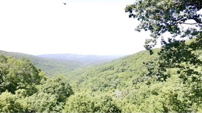/international/us/5800-white-oak-mountain-road-hector-ar-110109394863/
