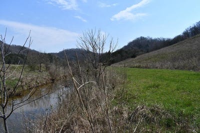 /international/us/349-94-ac-dry-mill-creek-and-tick-roads-hilham-tn-110110274003/