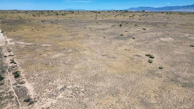 /international/us/rancho-rio-grande-bosque-nm-110089533309/