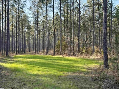 /international/us/highway-28-abbeville-sc-110106696613/