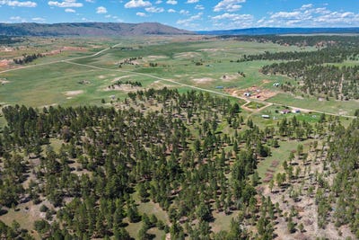 /international/us/50-acres-10321-two-track-trail-custer-county-sd-110108848551/
