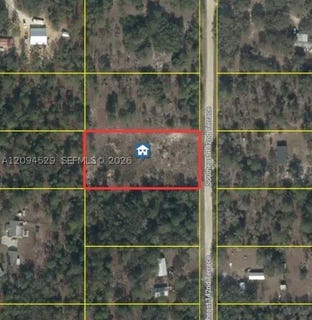 /international/us/142-terrace-williston-fl-110110308291/