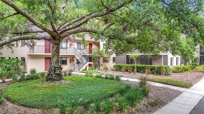 /international/us/11704-raintree-village-boulevard-temple-terrace-fl-110100155116/