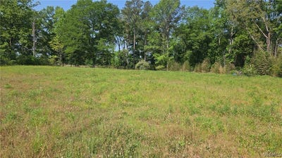 /international/us/10997-vance-blocton-road-vance-al-110107928598/