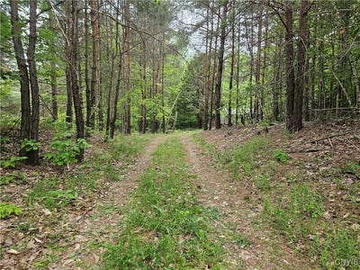 /international/us/2765-state-highway-72-hopkinton-ny-110100055083/?lang=zh-tw