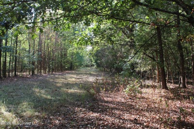 /international/us/16-tulane-road-nesbit-ms-110120121152/