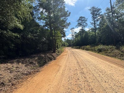 /international/us/tanglewood-trail-lot-2-georgetown-ga-110108356847/