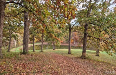 /international/us/0-highway-d-15-acres-tract-11-eolia-mo-110104163284/