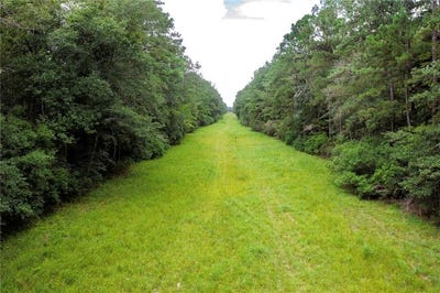 /international/us/8-73-acres-wonie-cousin-road-lacombe-la-110101030712/