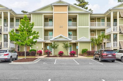 /international/us/128-puffin-dr-pawleys-island-sc-110101138388/