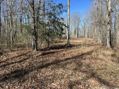 /international/us/fern-hill-road-pikeville-tn-110096485030/