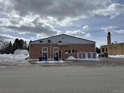 /international/us/3963-w-maple-ridge-37th-road-rock-mi-110106917131/