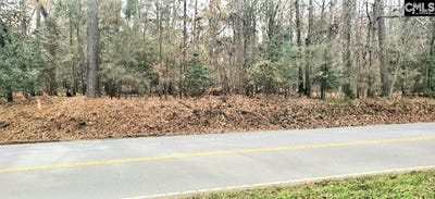 /international/us/1679-amicks-ferry-road-chapin-sc-110101014845/?lang=pt