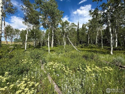 /international/us/0-dewclaw-rd-red-feather-lakes-co-110101402841/?lang=zh-tw