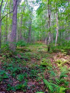/international/us/265-webber-hill-road-kennebunk-me-110120575659/