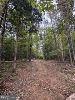 /international/us/old-office-road-locust-grove-va-110120057135/
