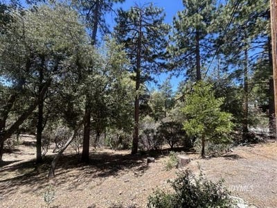 /international/us/pine-cove-rd-idyllwild-ca-110108475664/