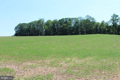 /international/us/parcel-62-part-1-ridge-road-westminster-md-110100832454/?lang=zh-tw
