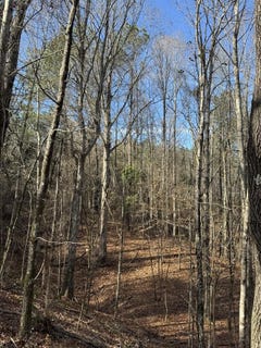 /international/us/chapel-hill-rd-gore-springs-ms-110120489279/