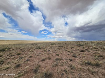 /international/us/tbd-s-tovar-avenue-holbrook-az-110077990998/