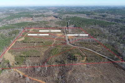/international/us/0-frozen-hollow-road-carbon-hill-al-110096973875/?lang=zh-tw