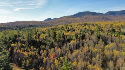 /international/us/25-sullivan-road-stark-nh-110102501593/