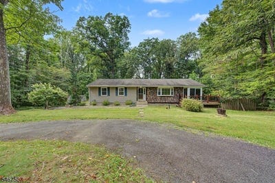 /international/us/299-north-rd-chester-twp-nj-110120614420/