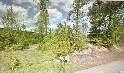 /international/us/7201-new-liberty-road-jacksonville-al-110101498832/
