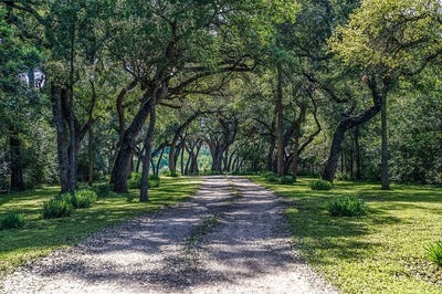 /international/us/tract-6-8145-farm-to-market-road-390-east-brenham-tx-110107876194/