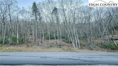 /international/us/lot-61-wildcat-wilderness-parkway-deep-gap-nc-110104909339/