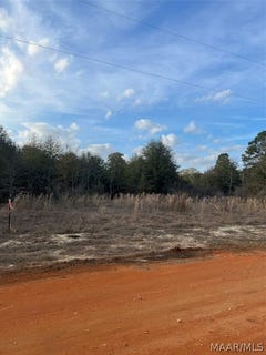 /international/us/deer-loop-lot-45-camden-al-110081756958/