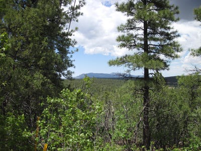 /international/us/20-estrella-vista-drive-tijeras-nm-110107959509/