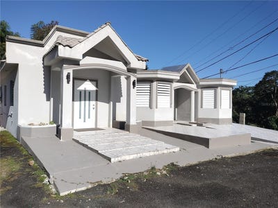 /international/us/carr-31-km-11-8-naguabo-pr-110107628978/