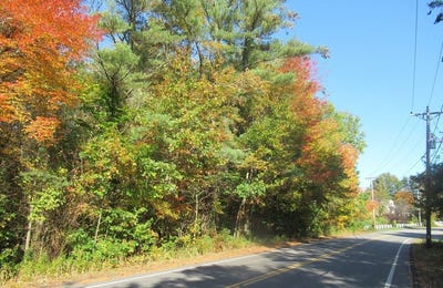 /international/us/0-elm-hanover-ma-110101190173/?lang=zh-tw