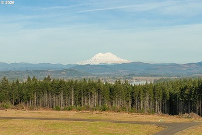 /international/us/silverwood-dr-castlerock-wa-110105839009/