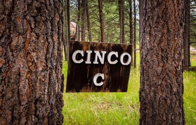 /international/us/29-via-del-rey-angel-fire-nm-110120691609/