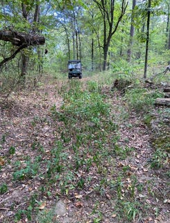 /international/us/t01s-r15e-kiamichi-wildernes-daisy-ok-110101405210/?lang=en