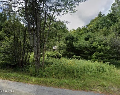 /international/us/334-grassville-road-horicon-ny-110100882788/
