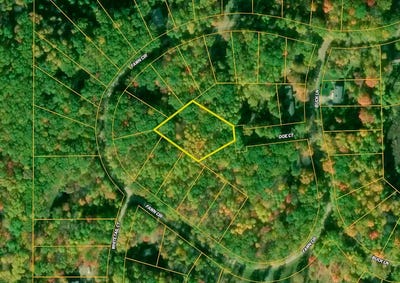 /international/us/doe-court-lot-92-harrison-mi-110108637932/