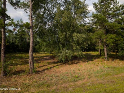 /international/us/carter-community-road-folkston-ga-110109069403/