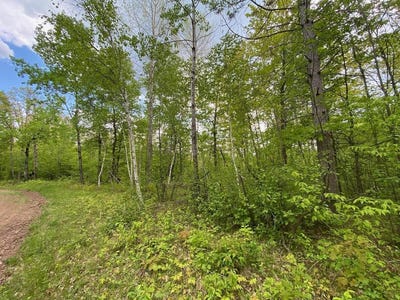 /international/us/hustvet-drive-lot-9-trego-wi-110108573772/