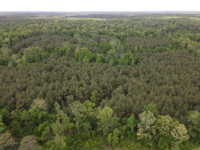 /international/us/002-county-road-29-hamburg-ar-110107540960/