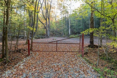 /international/us/9881-9937-larkin-road-eden-ny-110107820804/