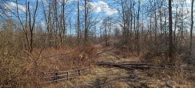 /international/us/vl-risher-road-warren-oh-110089737289/