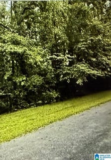 /international/us/canal-street-lot-11-childersburg-al-110106449334/