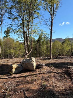 /international/us/frost-pond-road-lot-b-dorset-vt-110103423594/
